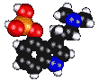 psilocybin_c.gif (34604 bytes)