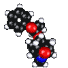 scopolamine