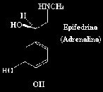 image12.gif (664 bytes)