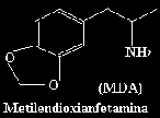 image13.gif (759 bytes)