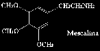 image15.gif (501 bytes)