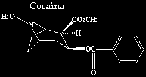 image18.gif (464 bytes)