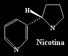 image19.gif (650 bytes)